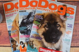 dogs-monthly