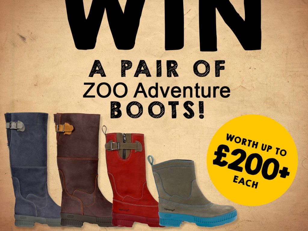 Zoo adventure