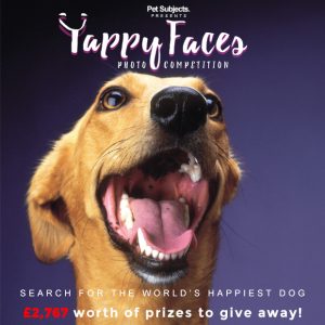 yappy-faces