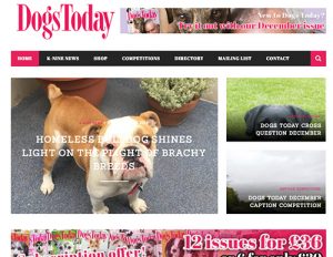 Dogs today website