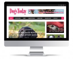 dogs today media
