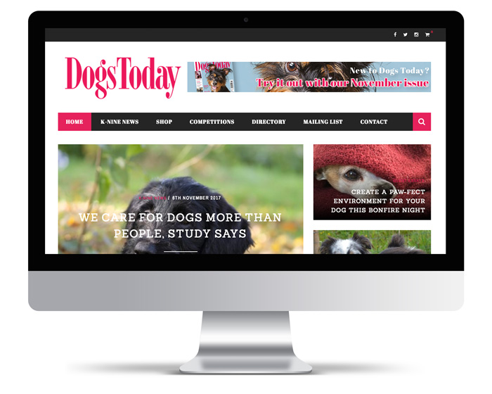 dogs today media