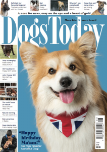 Dogs Today Magazine June 2018 Issue