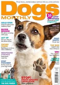 Dogs Monthly Cover